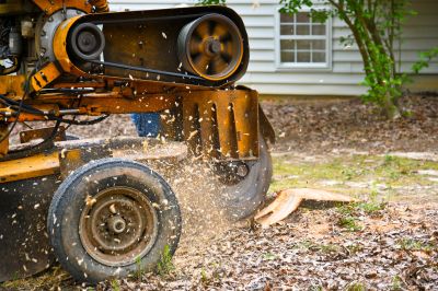 Stump Grinding Finish
